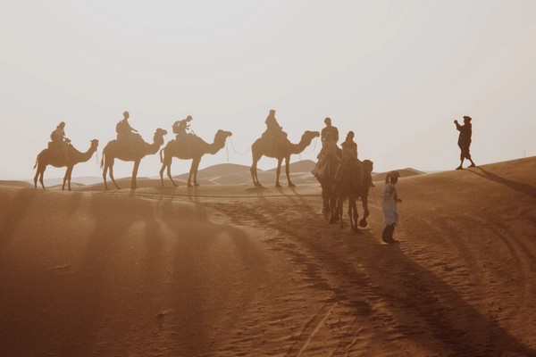 Overnight Camel Trek